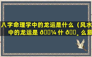 八字命理学中的龙运是什么（风水中的龙运是 🌼 什 🕸 么意思）